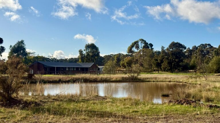 44 Harkin Court, Alma, VIC, 3465