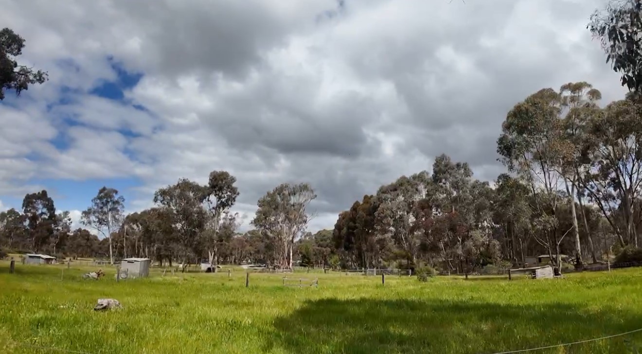 Land: 363 Tullaroop Road, Maryborough, VIC, 3465 photo-12