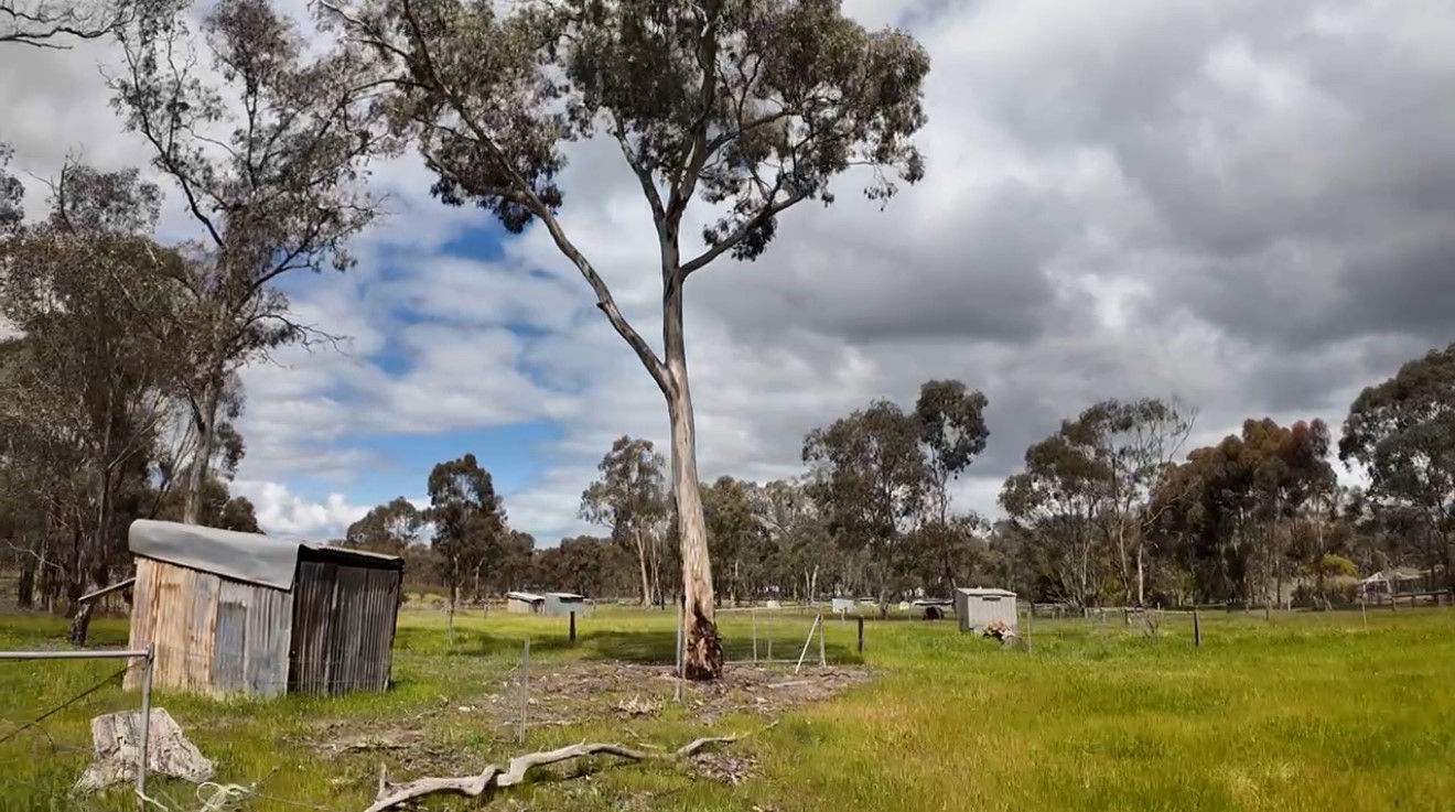 Land: 363 Tullaroop Road, Maryborough, VIC, 3465 photo-11