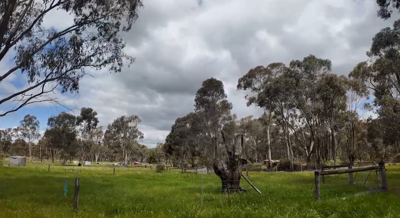 Land: 363 Tullaroop Road, Maryborough, VIC, 3465 photo-9