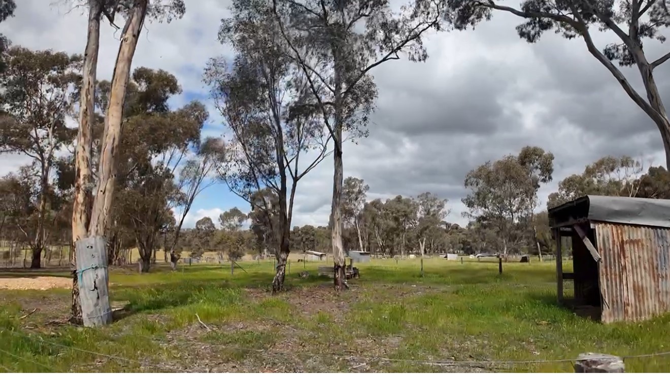 Land: 363 Tullaroop Road, Maryborough, VIC, 3465 photo-8