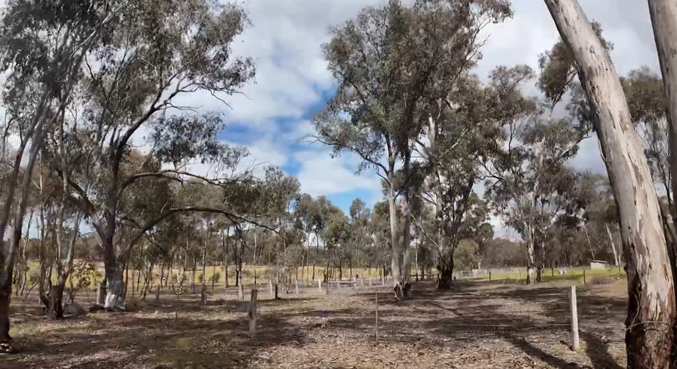 Land: 363 Tullaroop Road, Maryborough, VIC, 3465 photo-7
