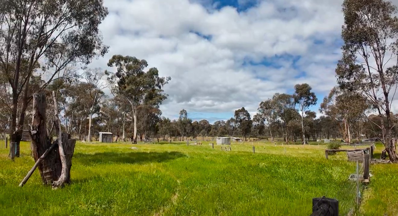 Land: 363 Tullaroop Road, Maryborough, VIC, 3465 photo-6
