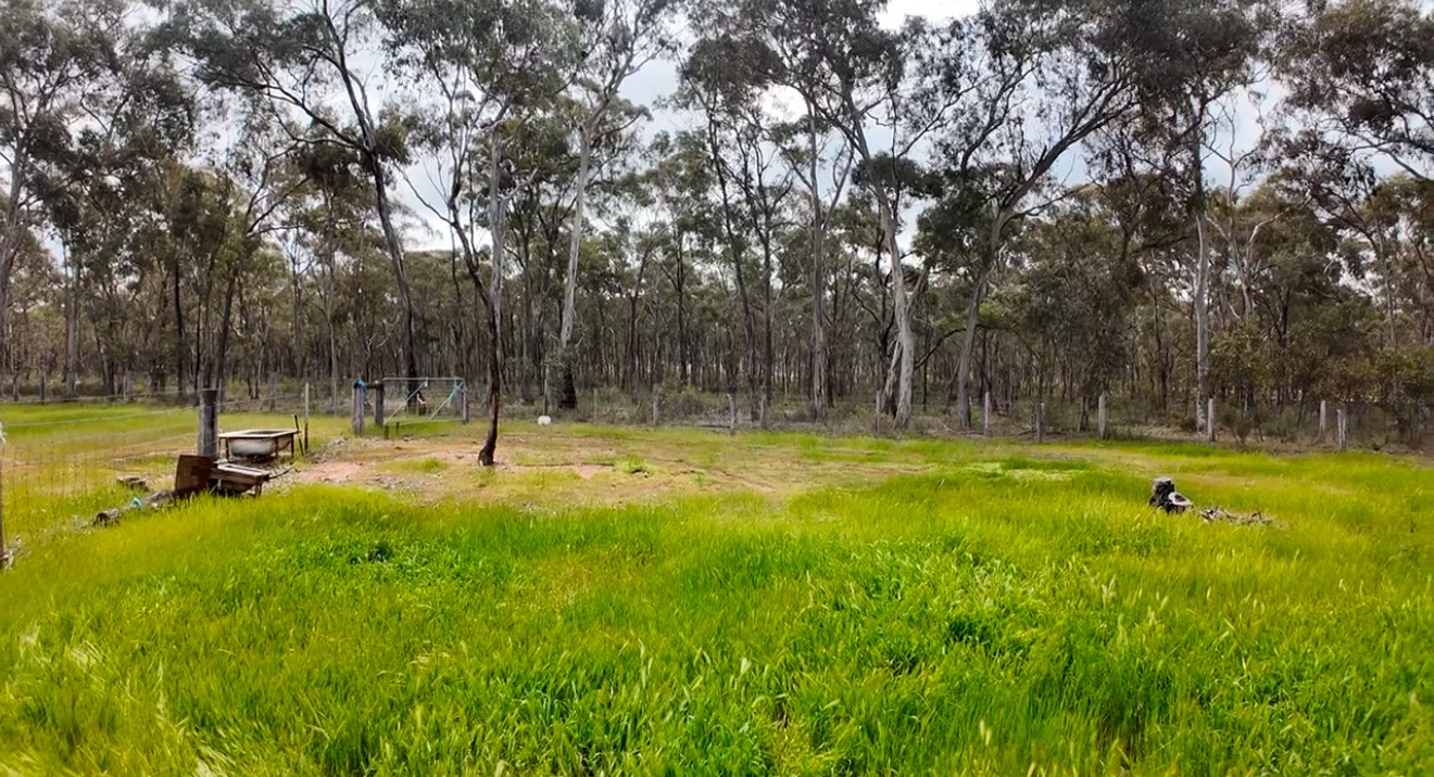 Land: 363 Tullaroop Road, Maryborough, VIC, 3465 photo-5