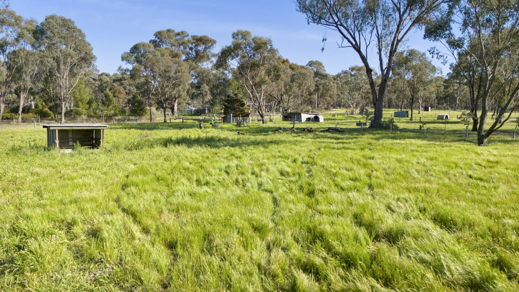 Land: 363 Tullaroop Road, Maryborough, VIC, 3465 photo-3