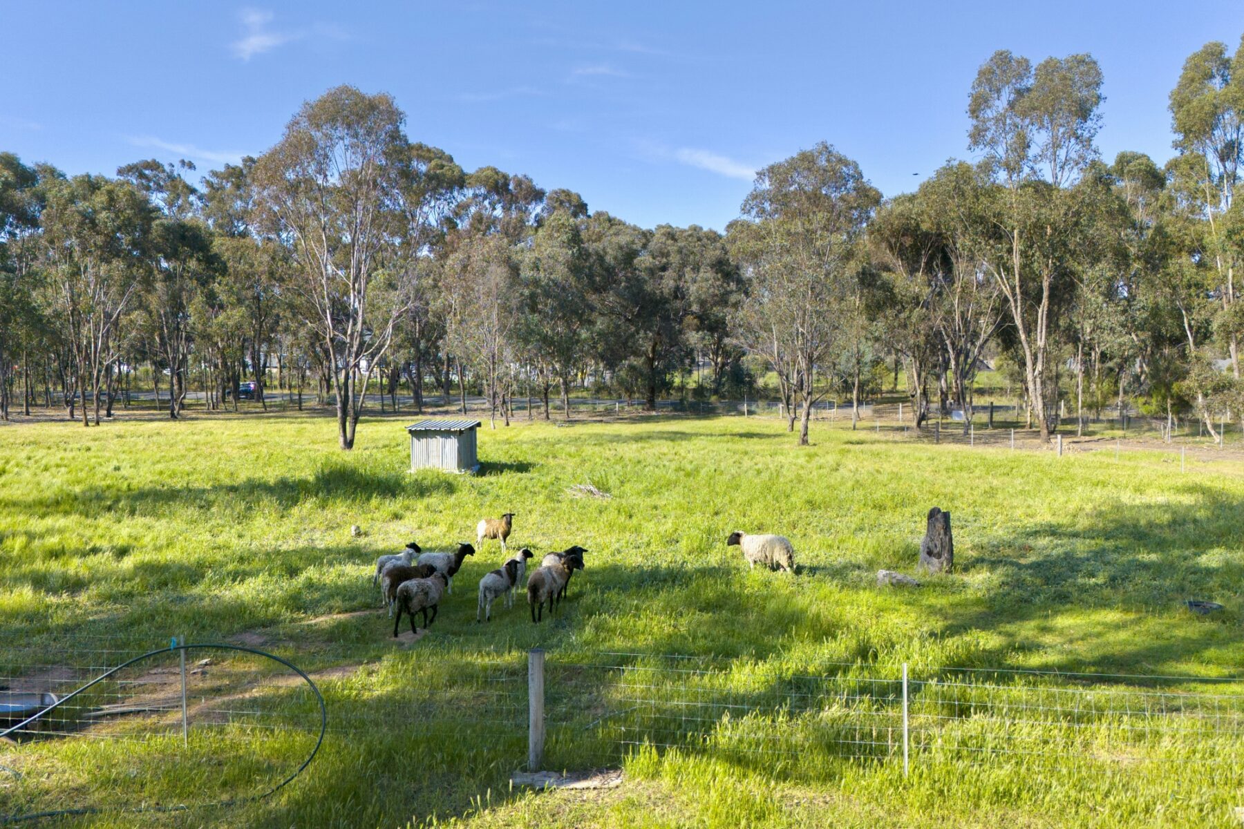 Land: 363 Tullaroop Road, Maryborough, VIC, 3465 photo-2