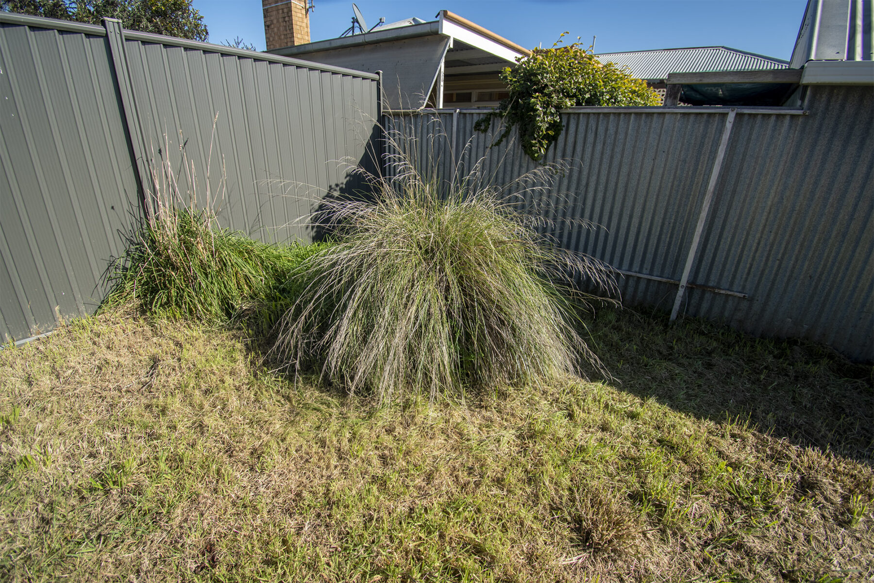 Land: 47 Napier Street, Maryborough, VIC, 3465 photo-1