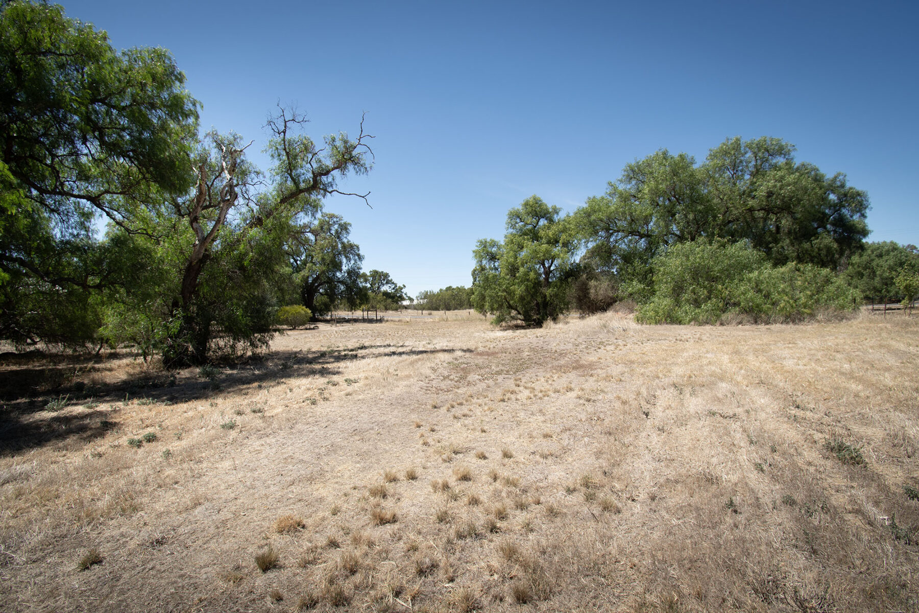 Land: 581 Timor Road, Bowenvale, VIC, 3465 photo-1