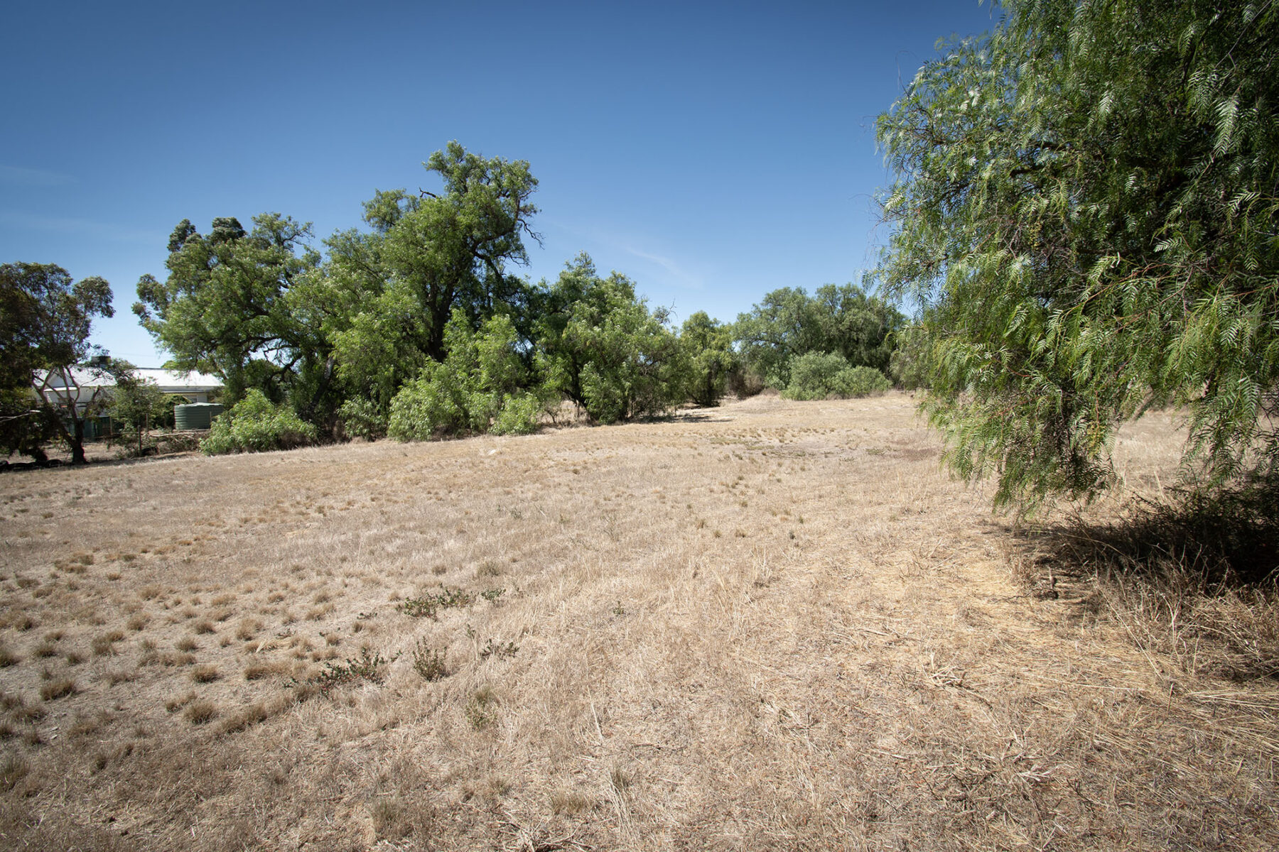 Land: 581 Timor Road, Bowenvale, VIC, 3465 photo-2