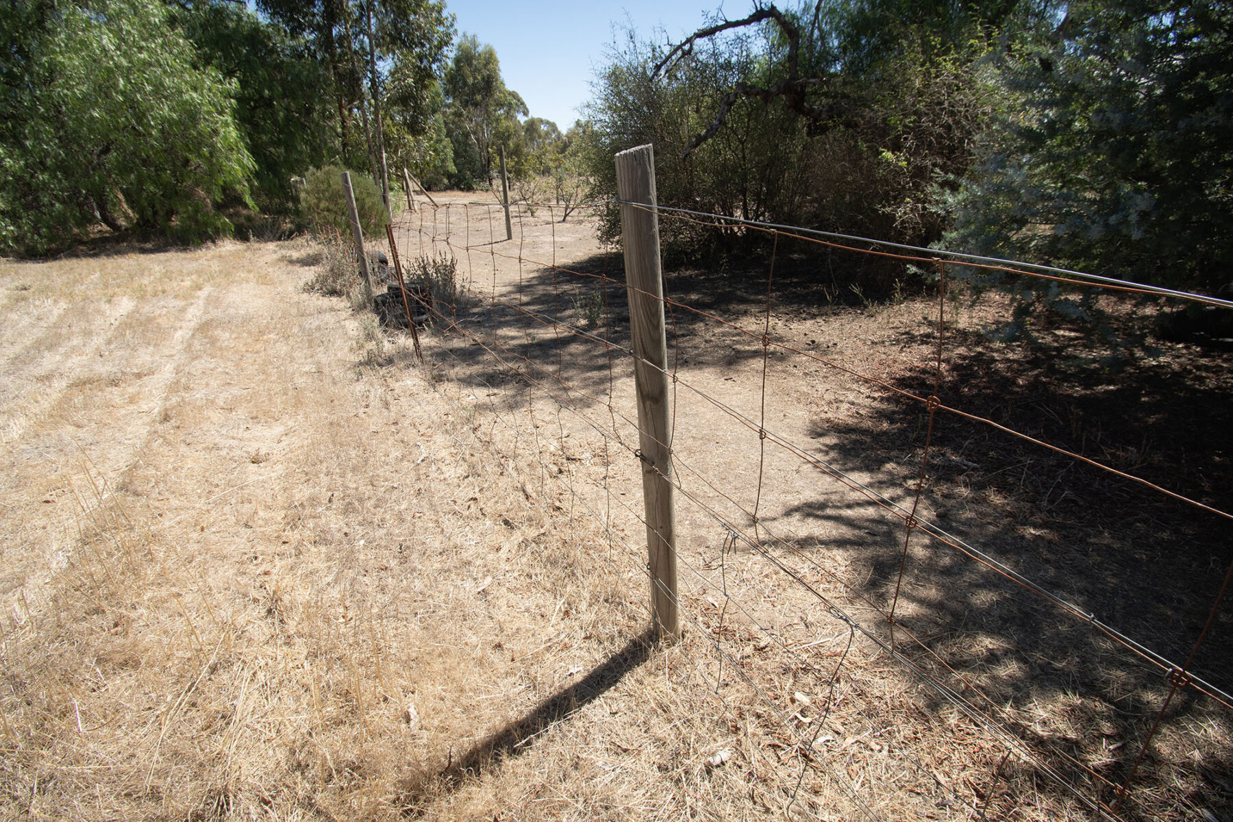 Land: 581 Timor Road, Bowenvale, VIC, 3465 photo-3