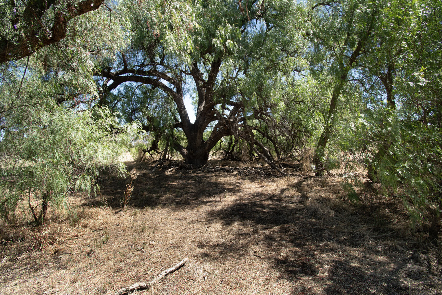Land: 581 Timor Road, Bowenvale, VIC, 3465 photo-4