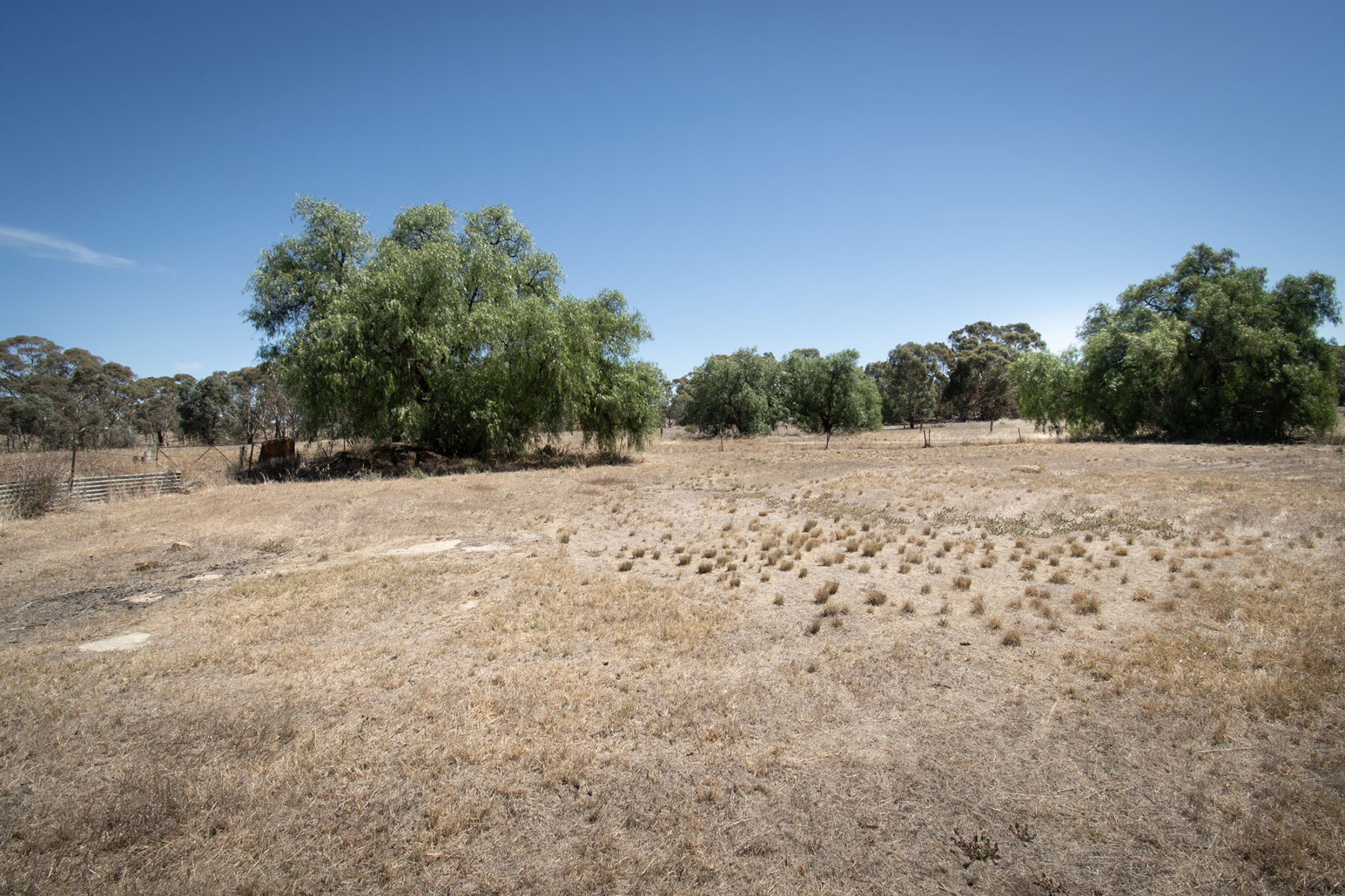 Land: 581 Timor Road, Bowenvale, VIC, 3465 photo-6
