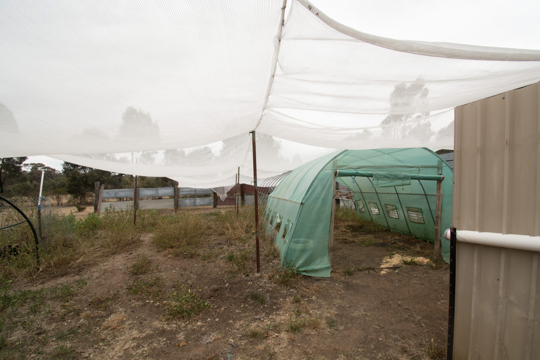 Land: 19 Smiths Road, Bealiba, VIC, 3475 photo-7