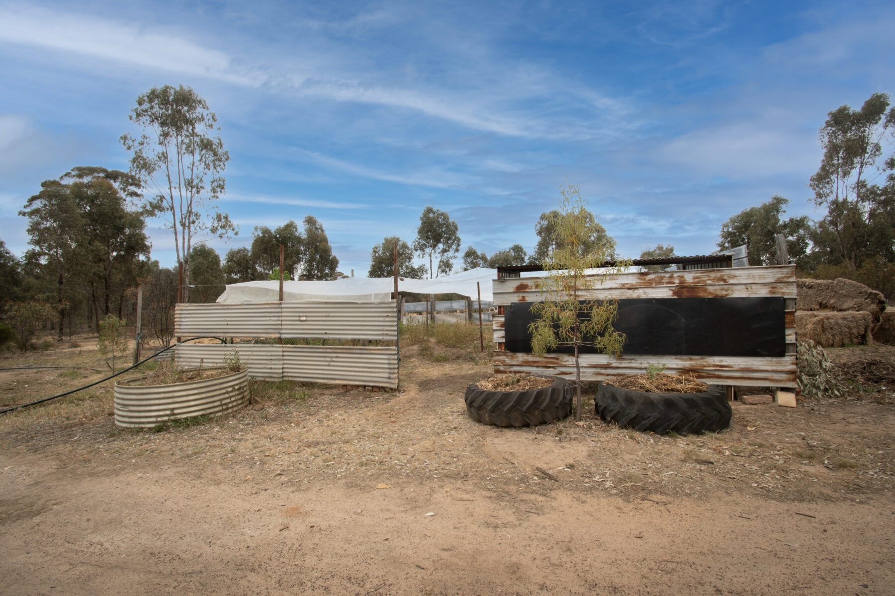 Land: 19 Smiths Road, Bealiba, VIC, 3475 photo-6