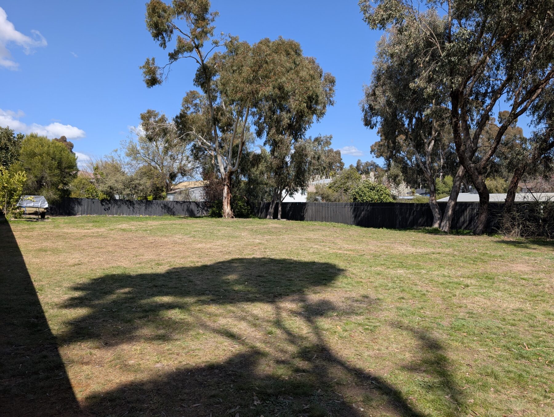 Land: 16 Douglass Street, Maryborough, VIC, 3465 photo-3