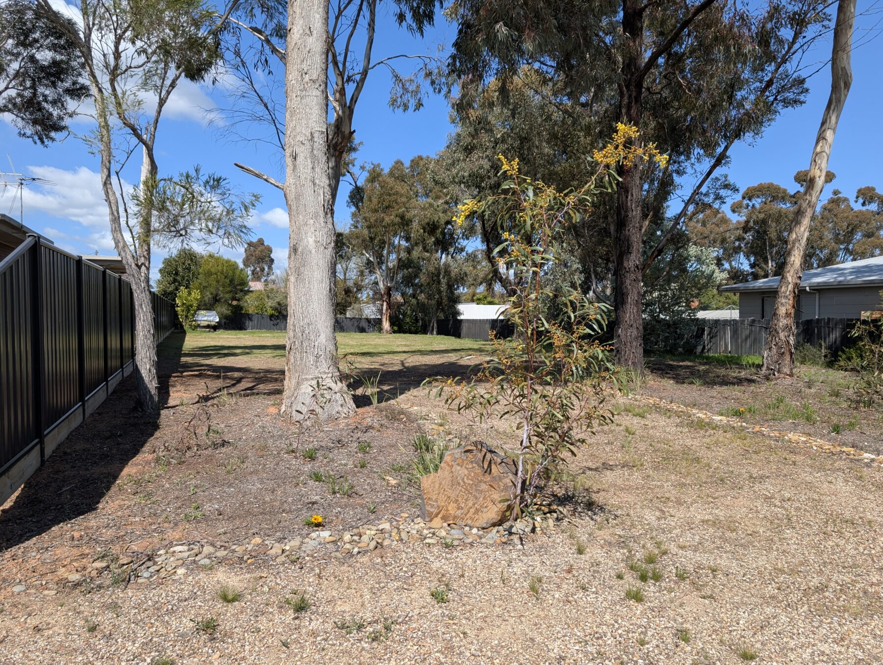 Land: 16 Douglass Street, Maryborough, VIC, 3465 photo-4