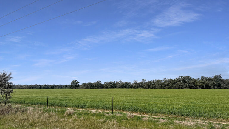 174 Timor Bromley Road, Timor, VIC, 3465