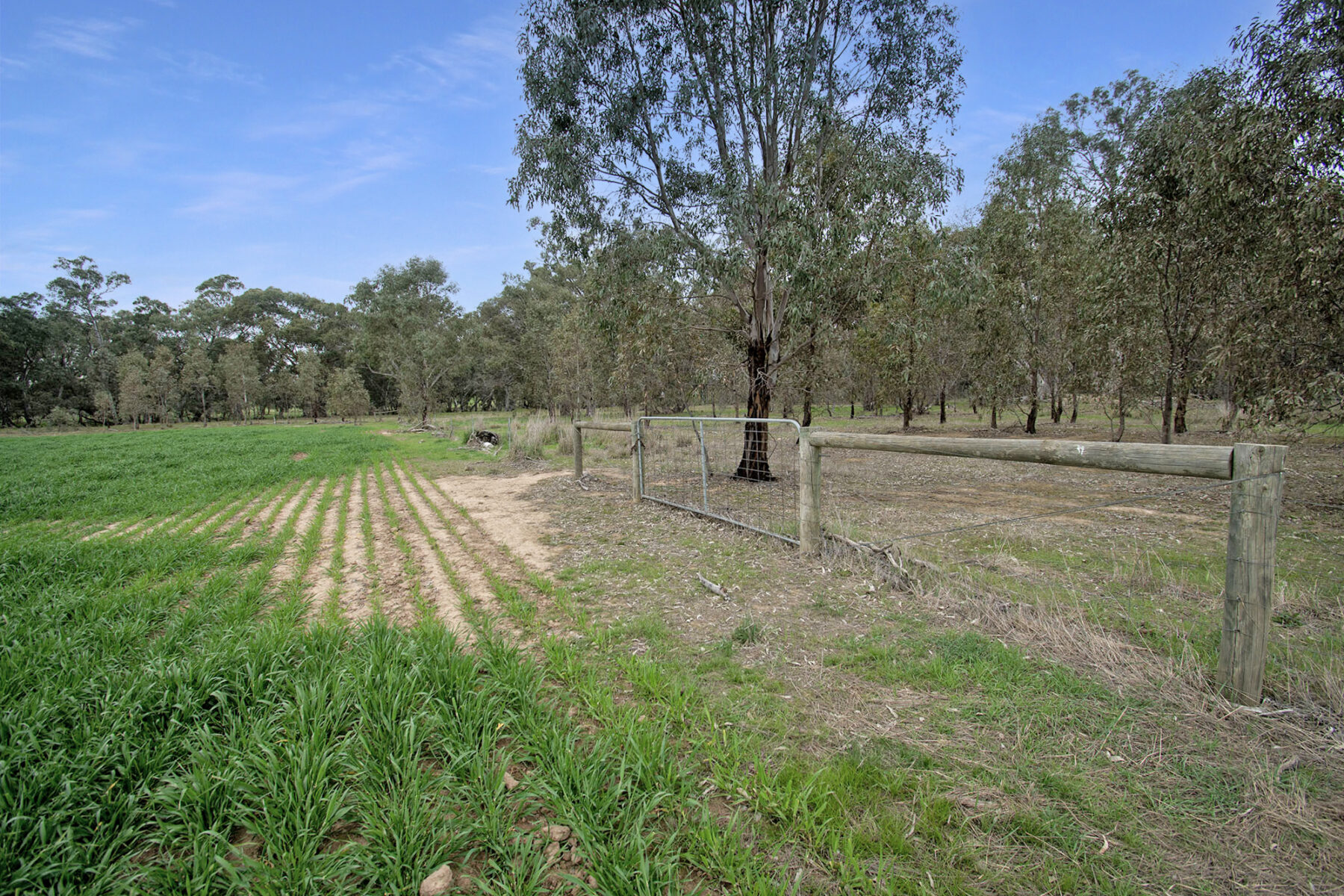 Land: 174 Timor Bromley Road, Timor, VIC, 3465 photo-11