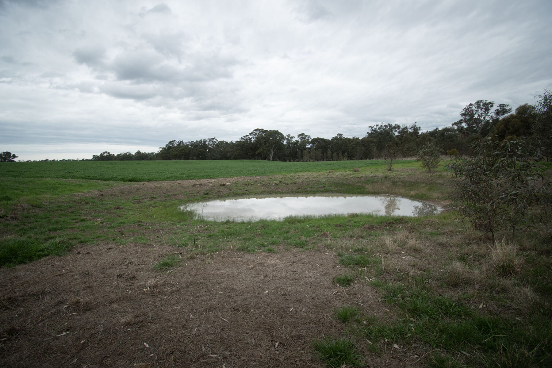 Land: 174 Timor Bromley Road, Timor, VIC, 3465 photo-13
