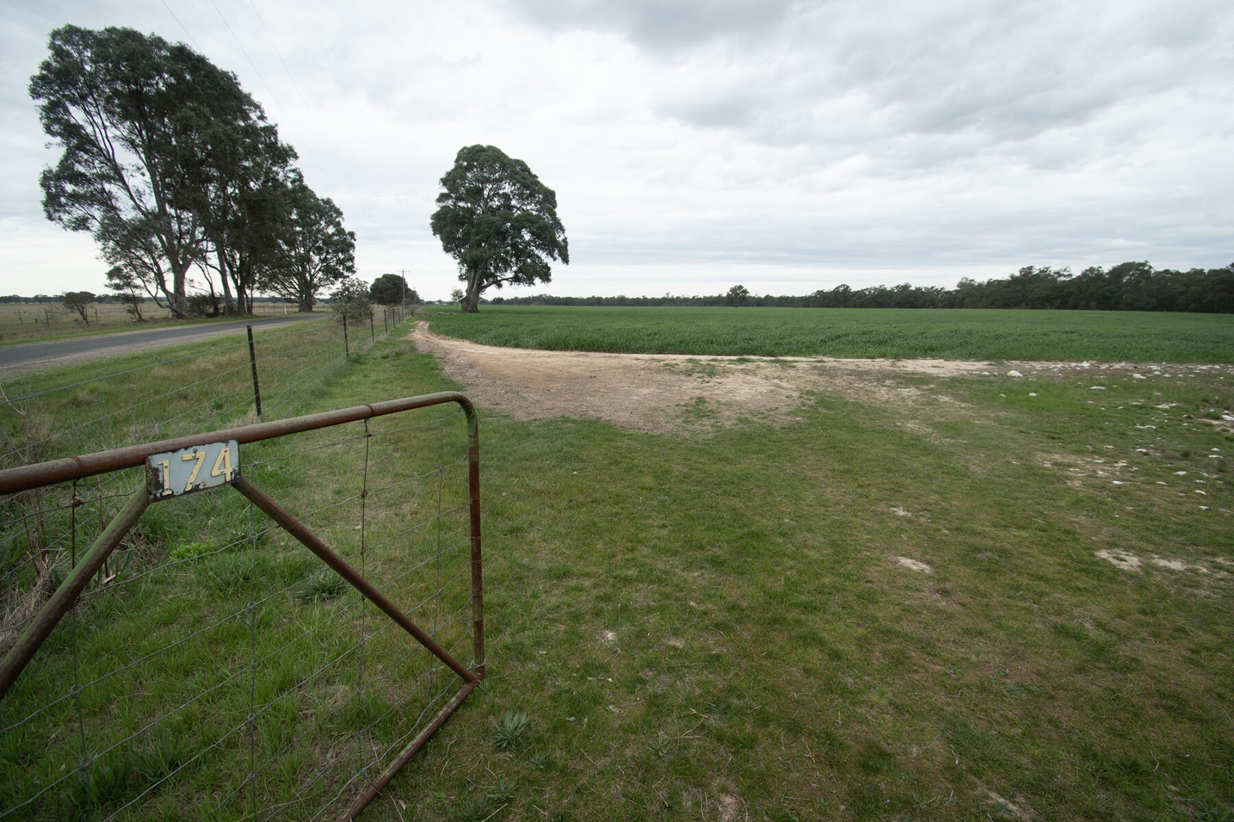 Land: 174 Timor Bromley Road, Timor, VIC, 3465 photo-14
