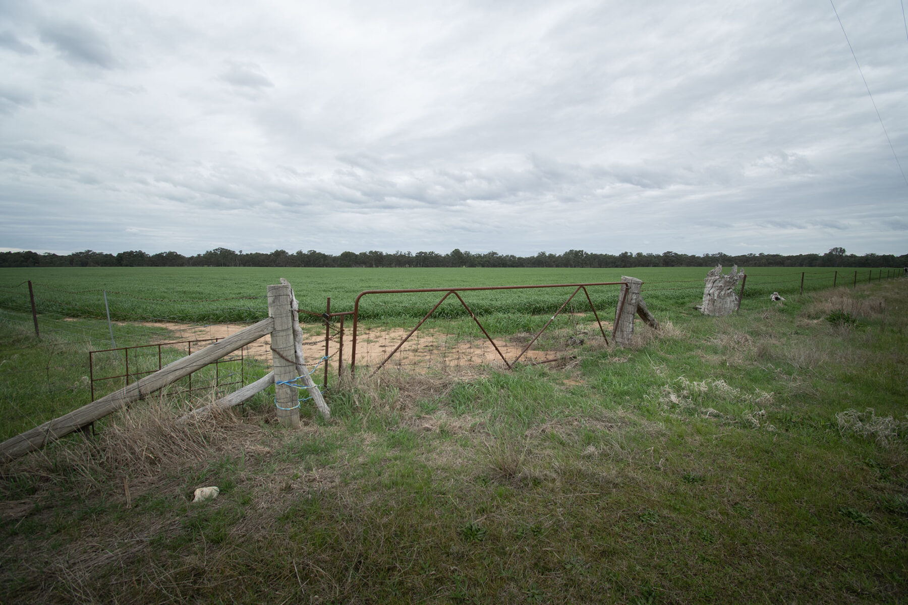 Land: 174 Timor Bromley Road, Timor, VIC, 3465 photo-15