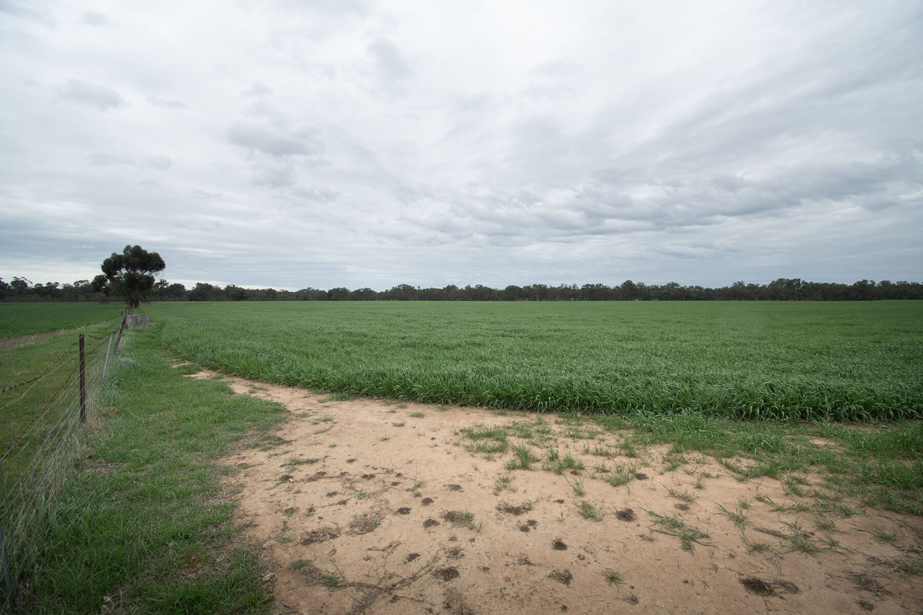 Land: 174 Timor Bromley Road, Timor, VIC, 3465 photo-16