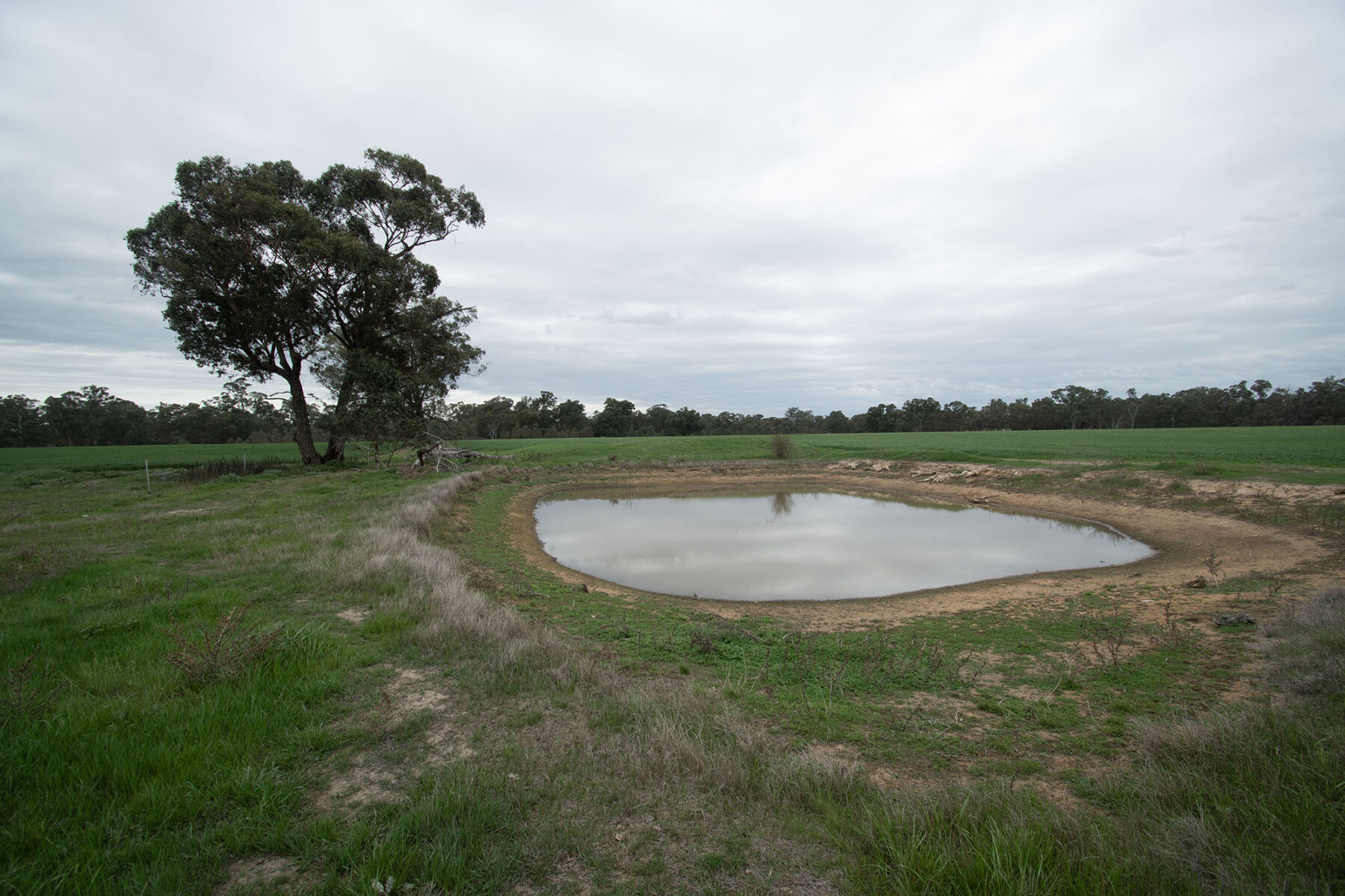 Land: 174 Timor Bromley Road, Timor, VIC, 3465 photo-1