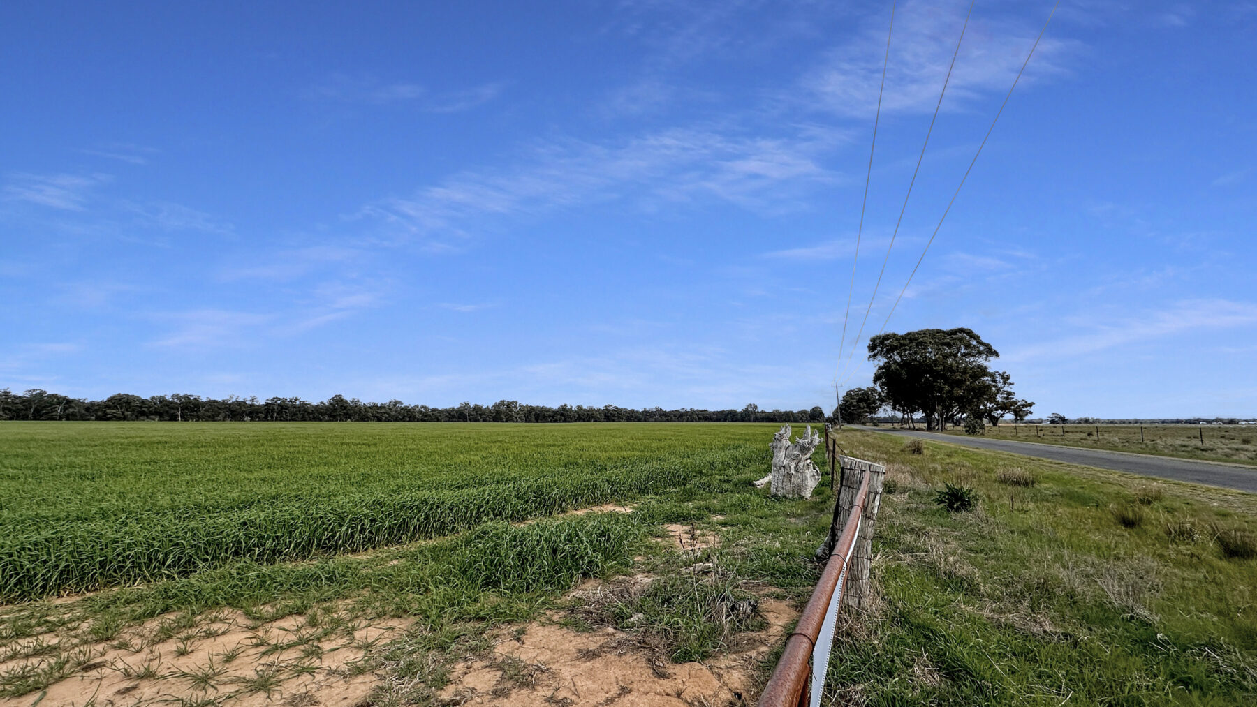 Land: 174 Timor Bromley Road, Timor, VIC, 3465 photo-3