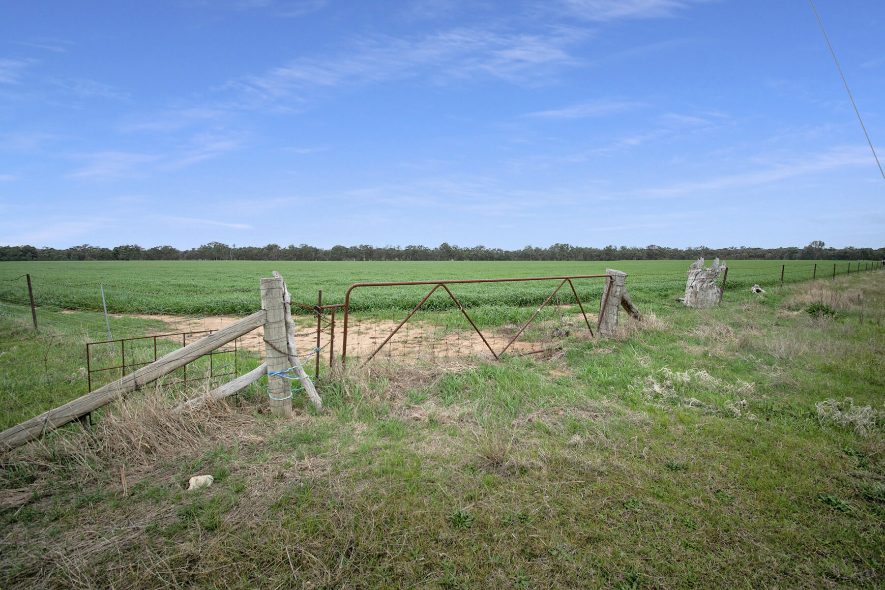 Land: 174 Timor Bromley Road, Timor, VIC, 3465 photo-4