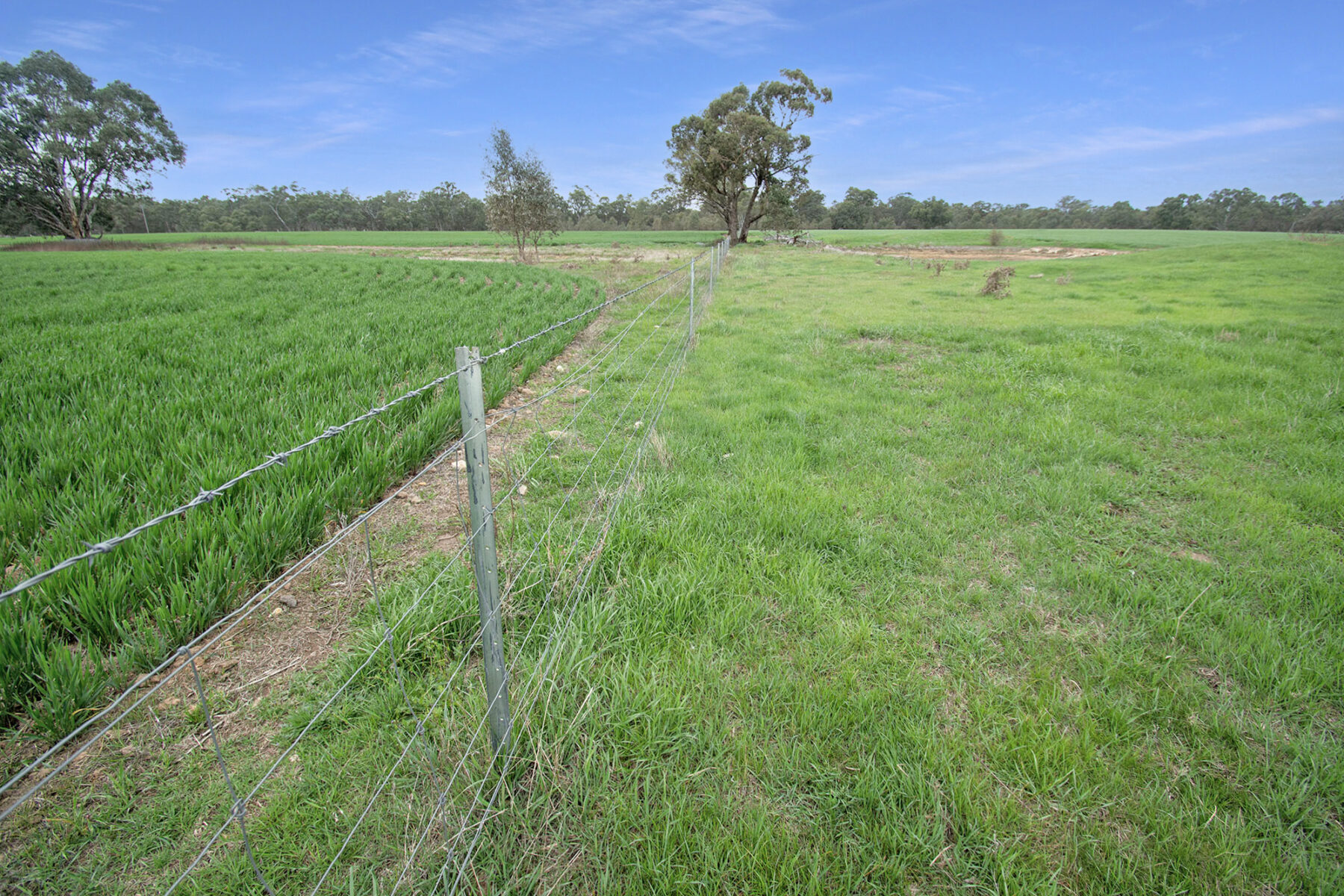 Land: 174 Timor Bromley Road, Timor, VIC, 3465 photo-5