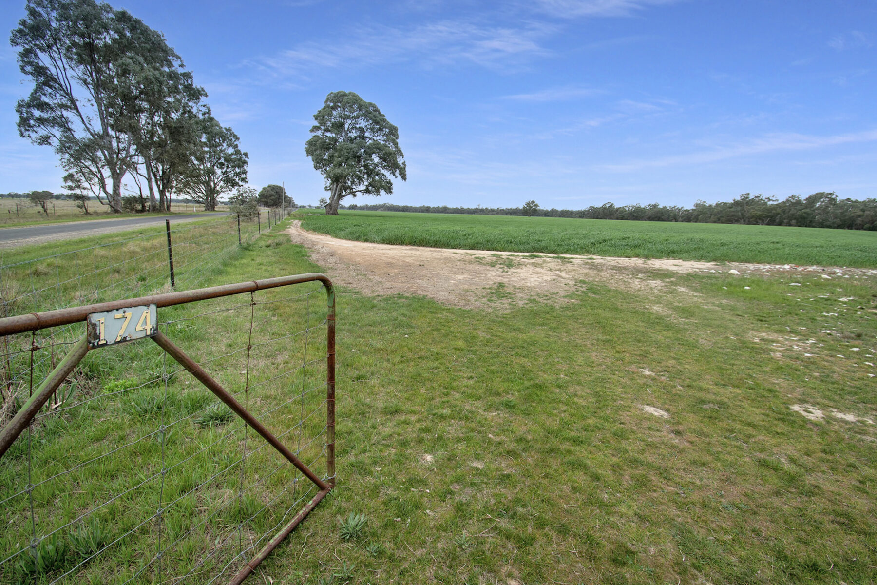 Land: 174 Timor Bromley Road, Timor, VIC, 3465 photo-6