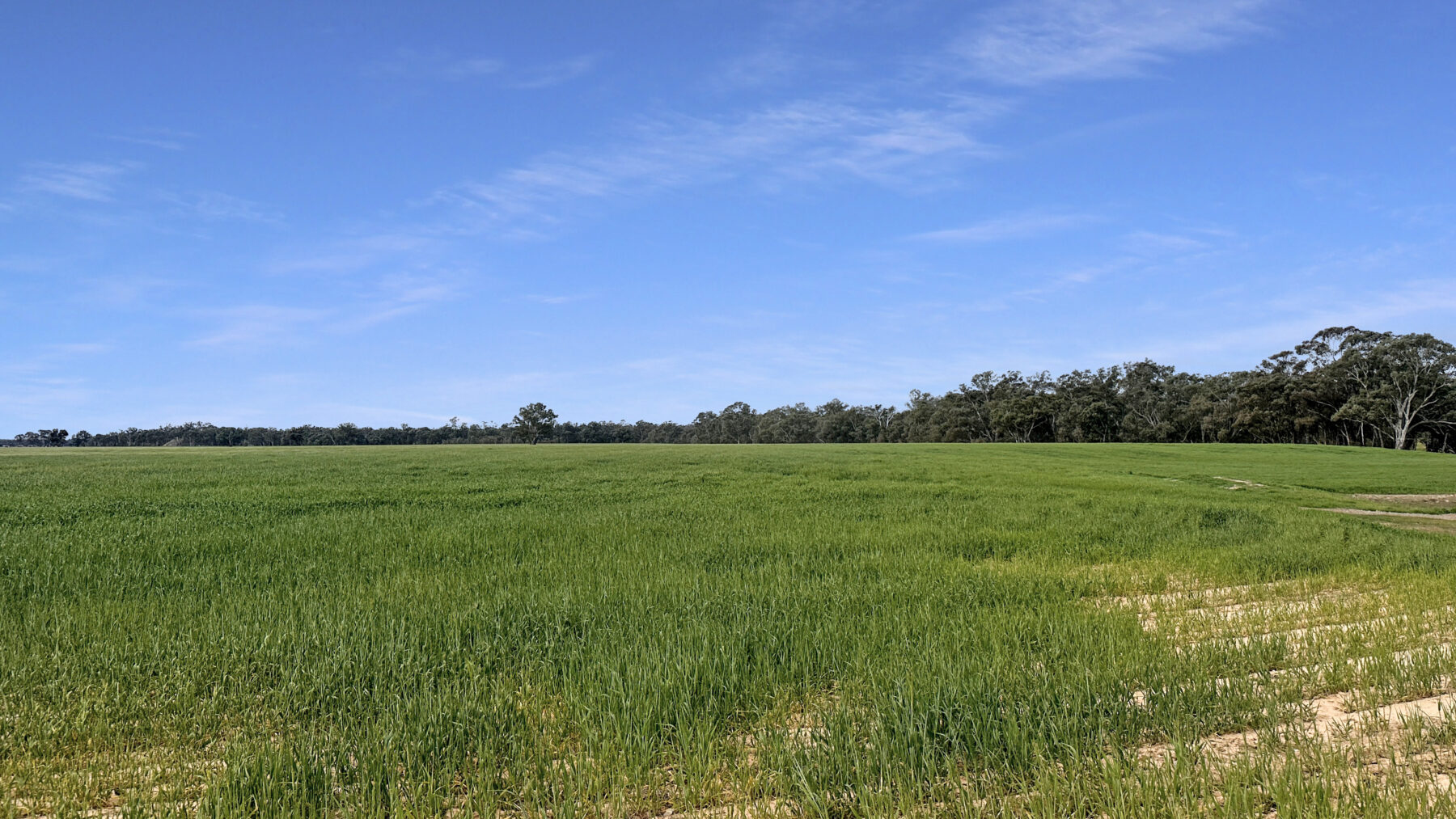 Land: 174 Timor Bromley Road, Timor, VIC, 3465 photo-7