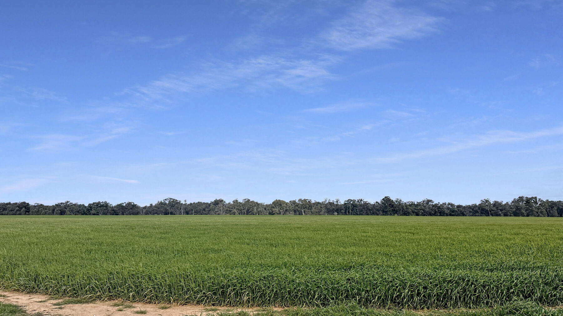 Land: 174 Timor Bromley Road, Timor, VIC, 3465 photo-8