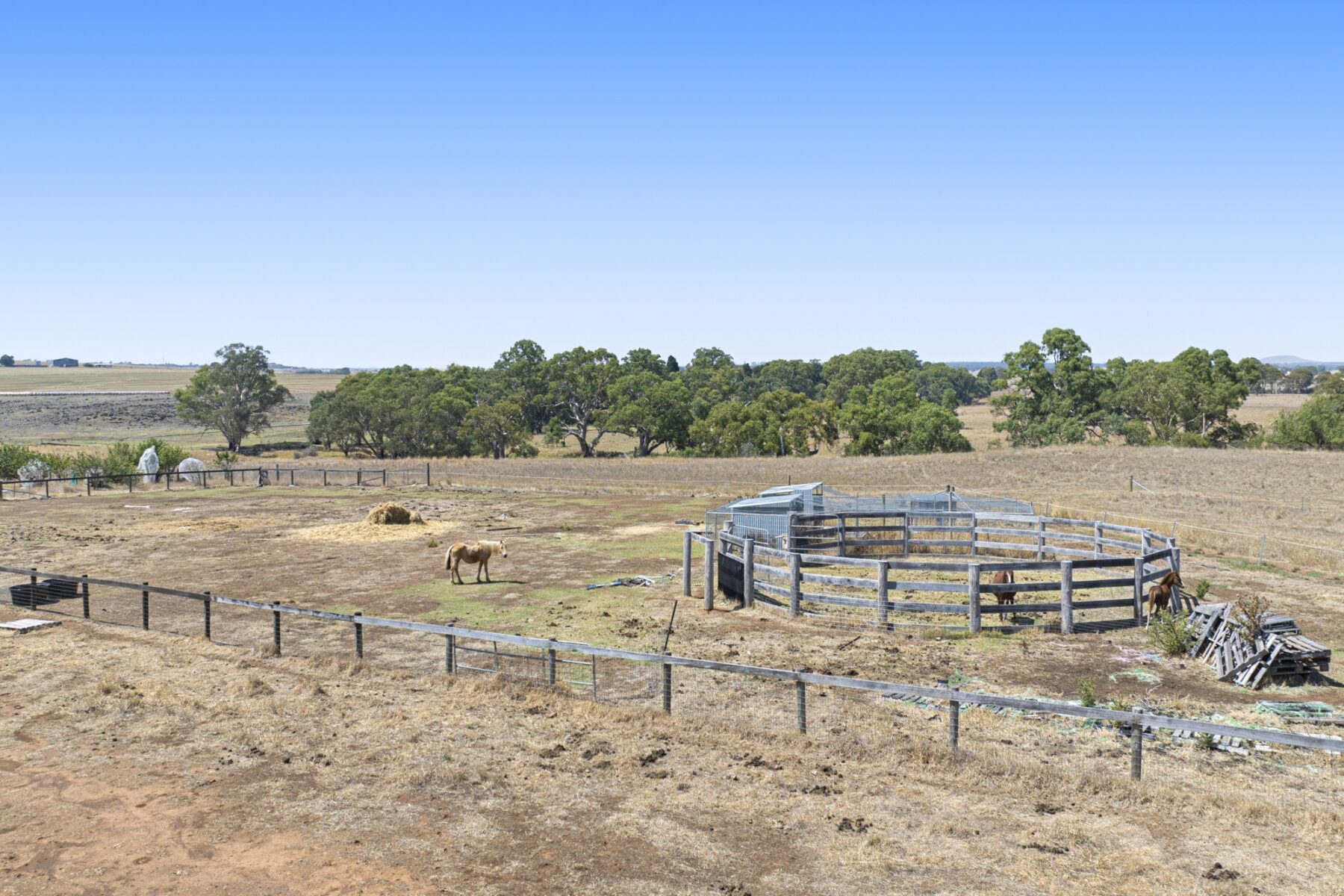 Land: 98 Simson Street, Carisbrook, VIC, 3464 photo-2