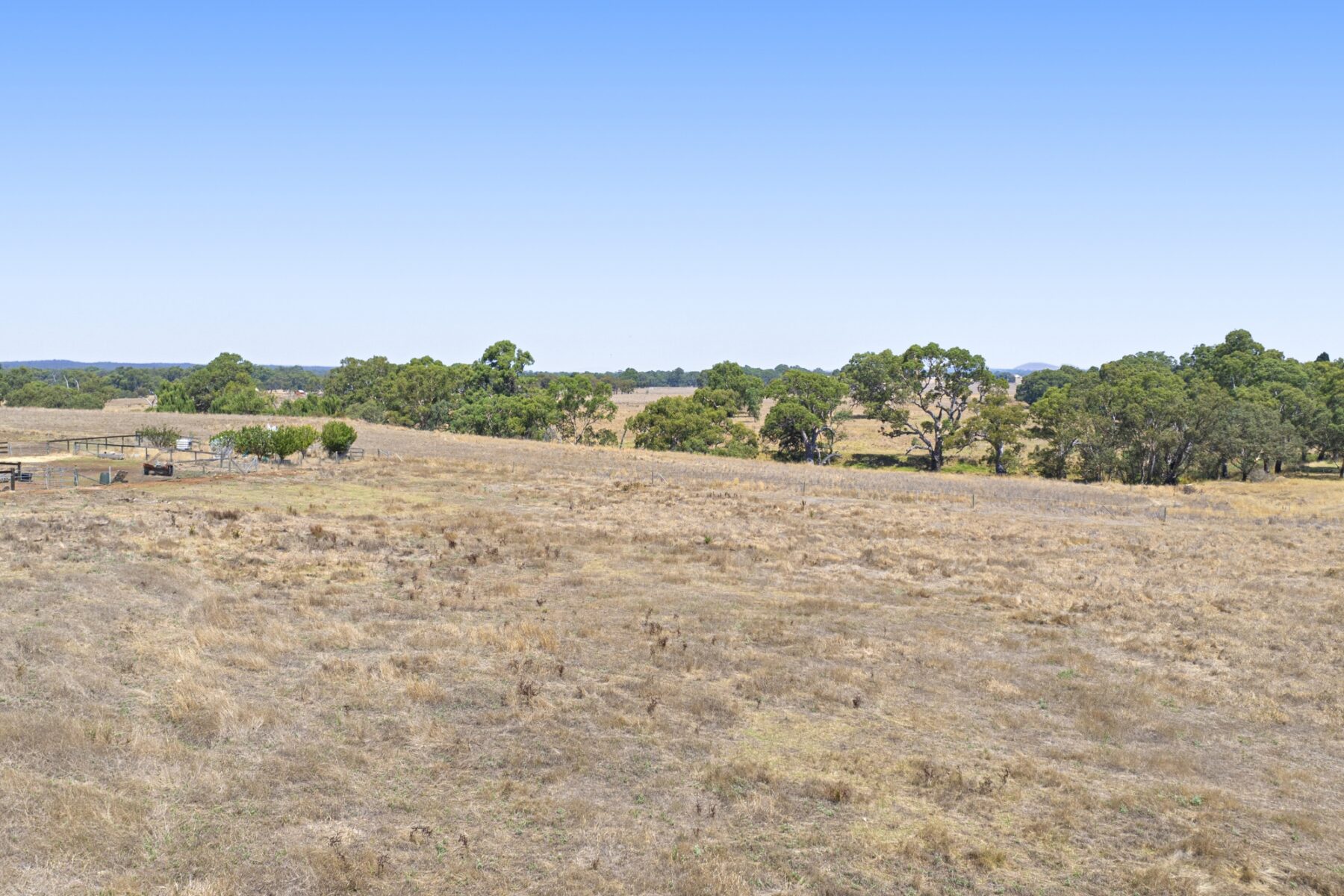 Land: 98 Simson Street, Carisbrook, VIC, 3464 photo-6