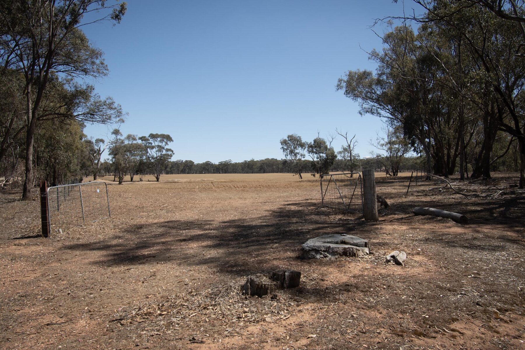 Land: 52 Tunstalls Road, Bealiba, VIC, 3475 photo-10
