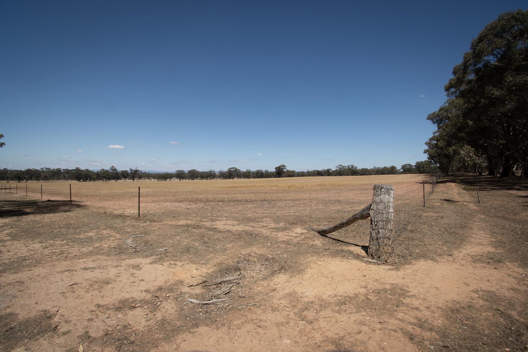 Land: 52 Tunstalls Road, Bealiba, VIC, 3475 photo-9