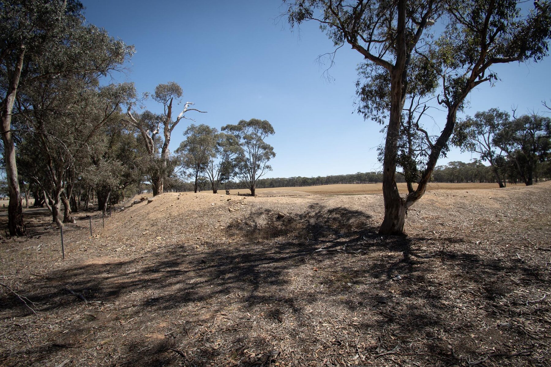 Land: 52 Tunstalls Road, Bealiba, VIC, 3475 photo-8