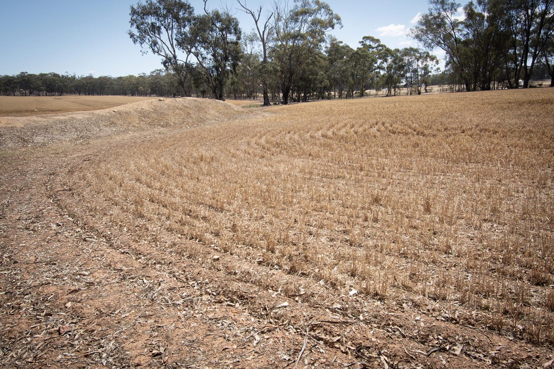 Land: 52 Tunstalls Road, Bealiba, VIC, 3475 photo-7