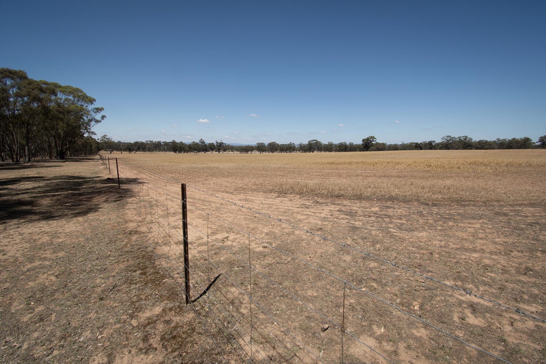 Land: 52 Tunstalls Road, Bealiba, VIC, 3475 photo-6