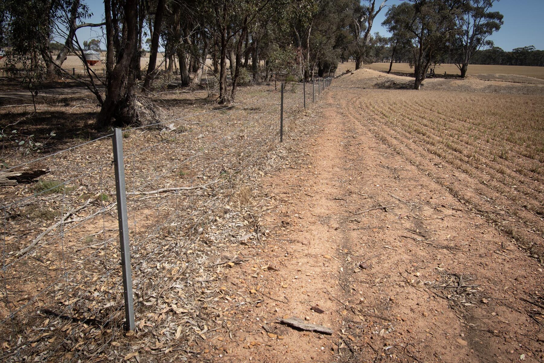 Land: 52 Tunstalls Road, Bealiba, VIC, 3475 photo-5