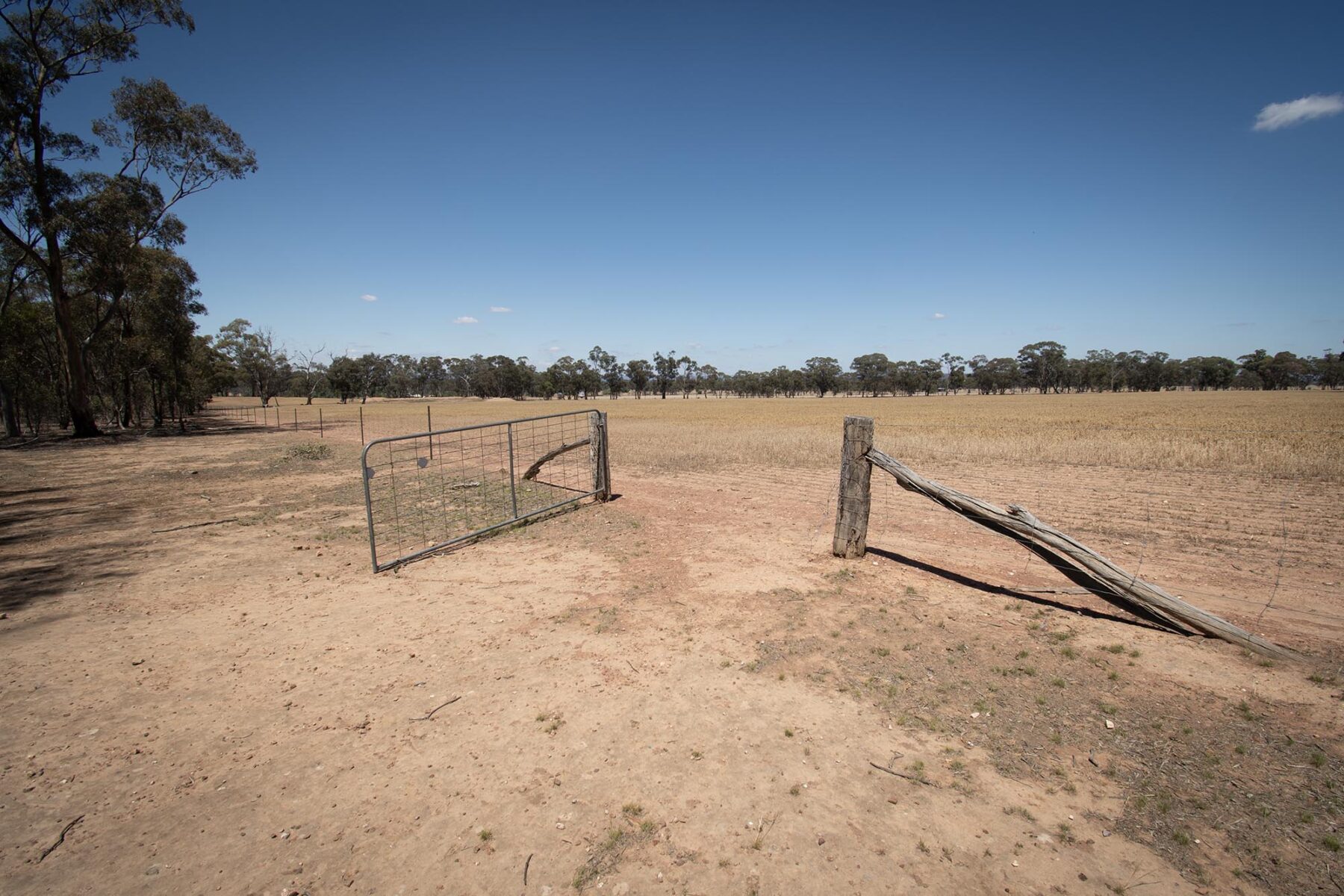 Land: 52 Tunstalls Road, Bealiba, VIC, 3475 photo-4