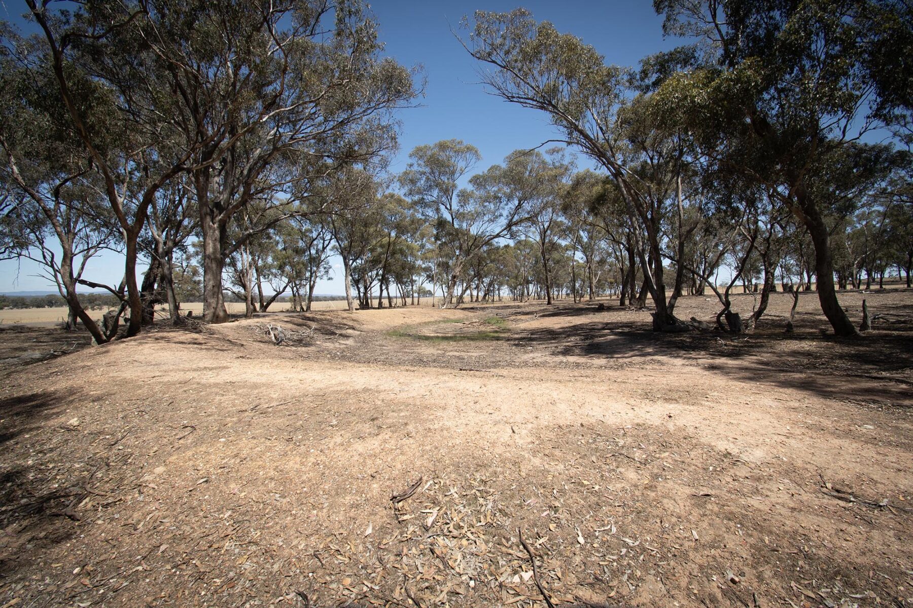 Land: 52 Tunstalls Road, Bealiba, VIC, 3475 photo-3