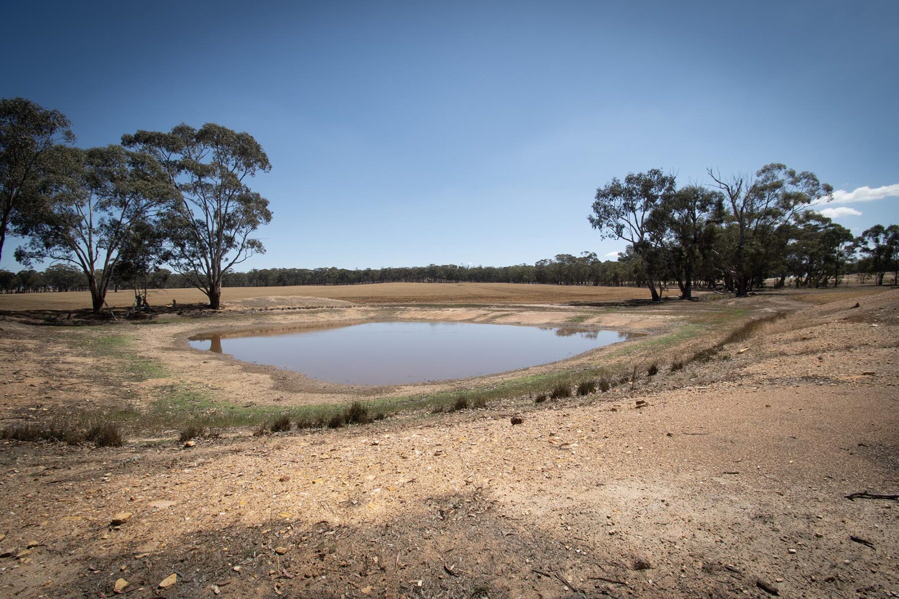 Land: 52 Tunstalls Road, Bealiba, VIC, 3475 photo-2