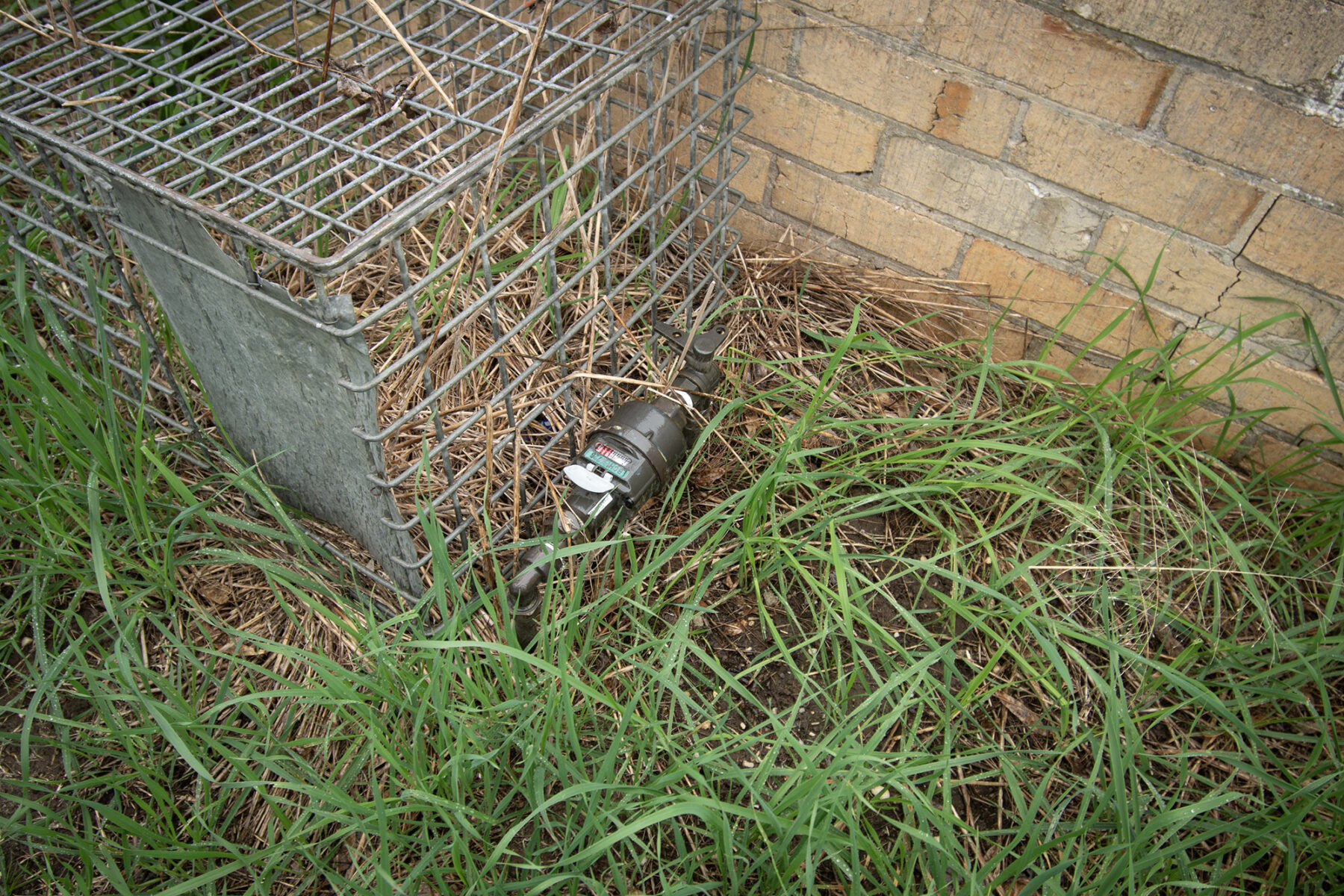 Land: 68 Simson Street, Carisbrook, VIC, 3464 photo-9