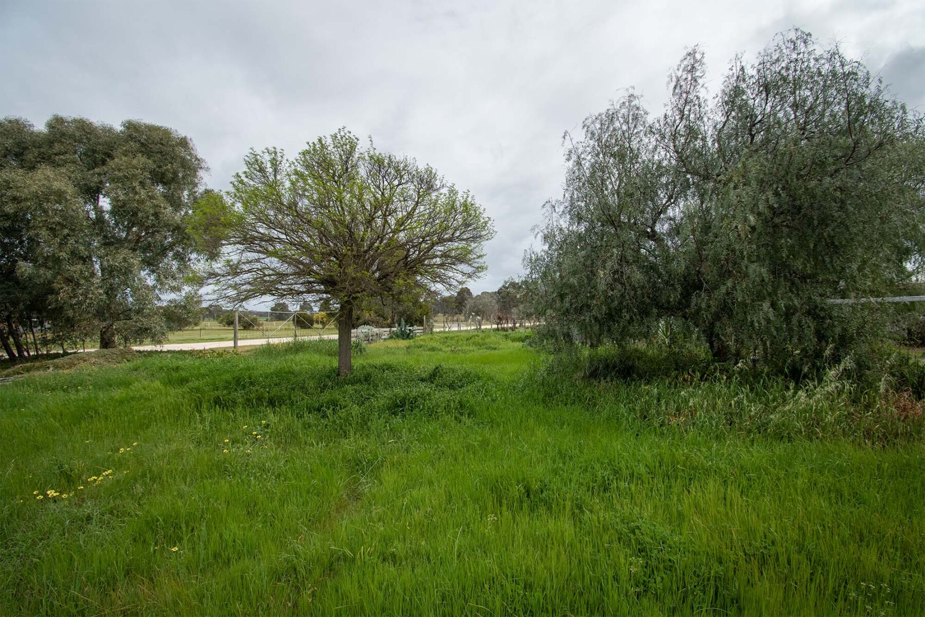 Land: 539 Timor Road, Bowenvale, VIC, 3465 photo-13