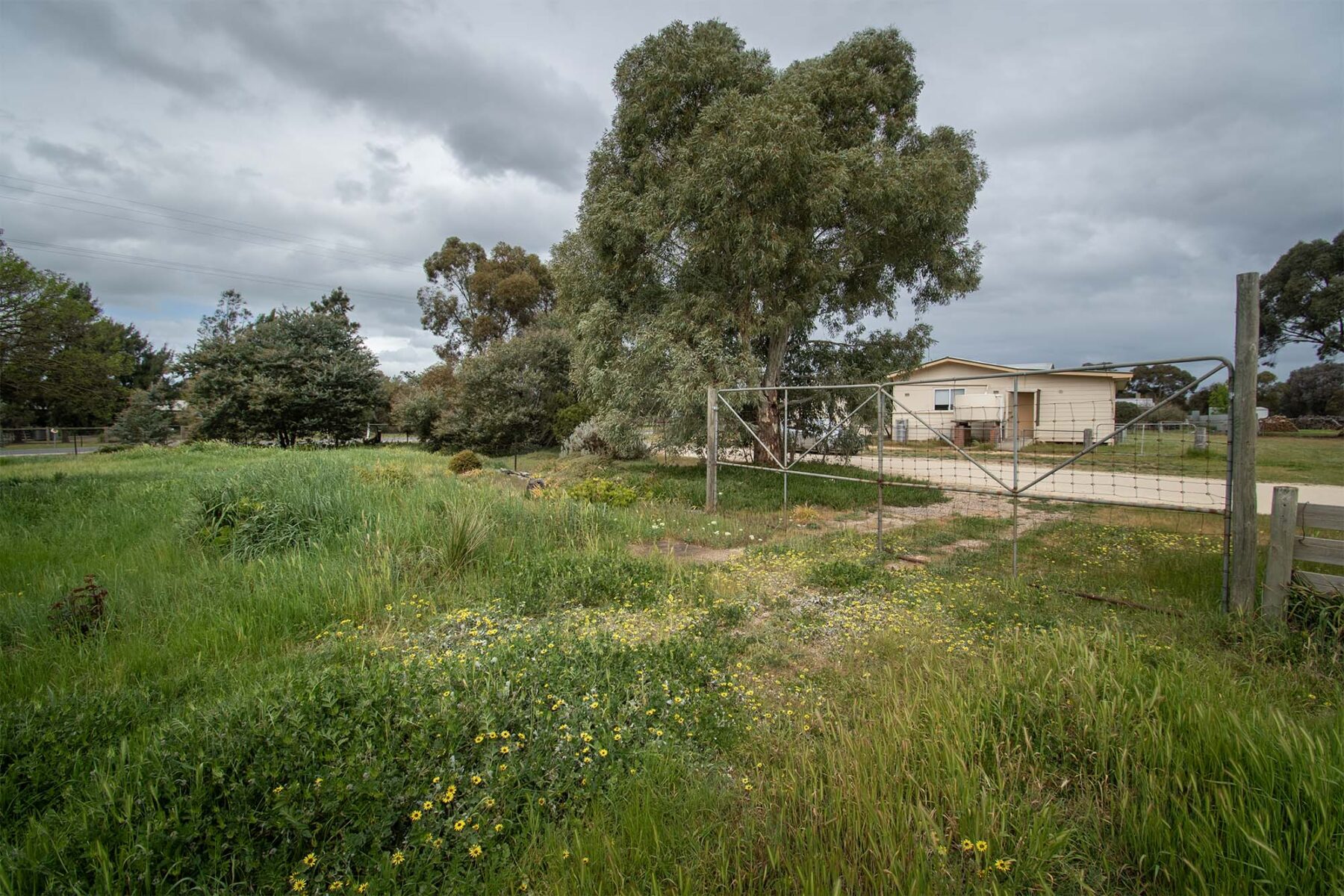 Land: 539 Timor Road, Bowenvale, VIC, 3465 photo-12