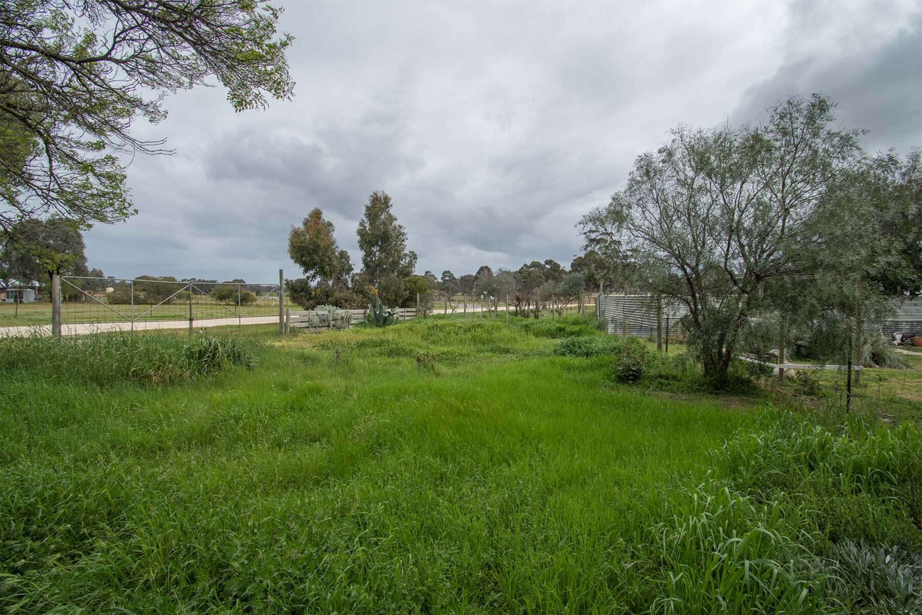 Land: 539 Timor Road, Bowenvale, VIC, 3465 photo-11