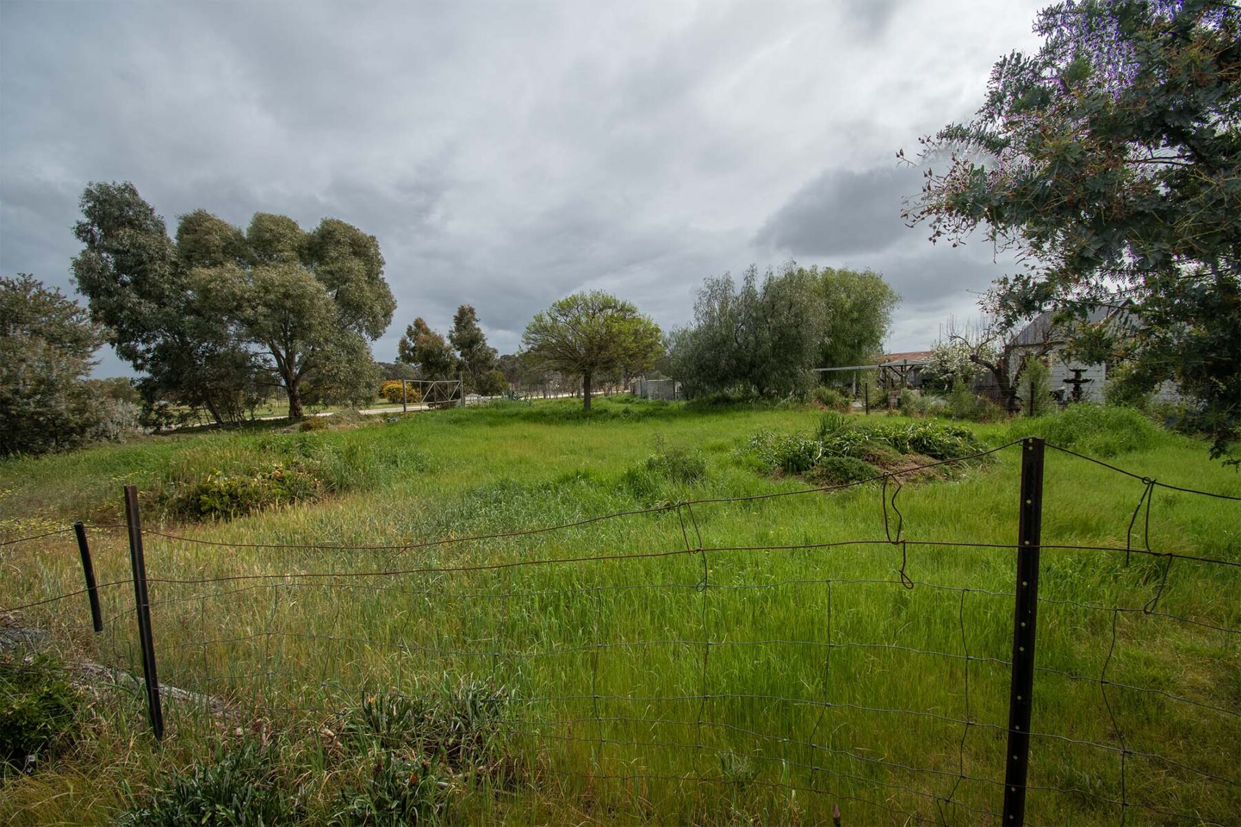Land: 539 Timor Road, Bowenvale, VIC, 3465 photo-10