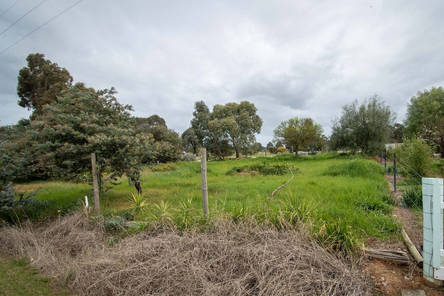 Land: 539 Timor Road, Bowenvale, VIC, 3465 photo-9